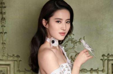 刘信达爆料刘亦菲视频,刘信达爆料背后真相揭晓