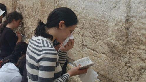 娱乐吃瓜君被告是啥,揭秘背后真相